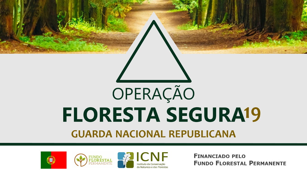 2ª Fase da Operação «FLORESTA SEGURA 2020»