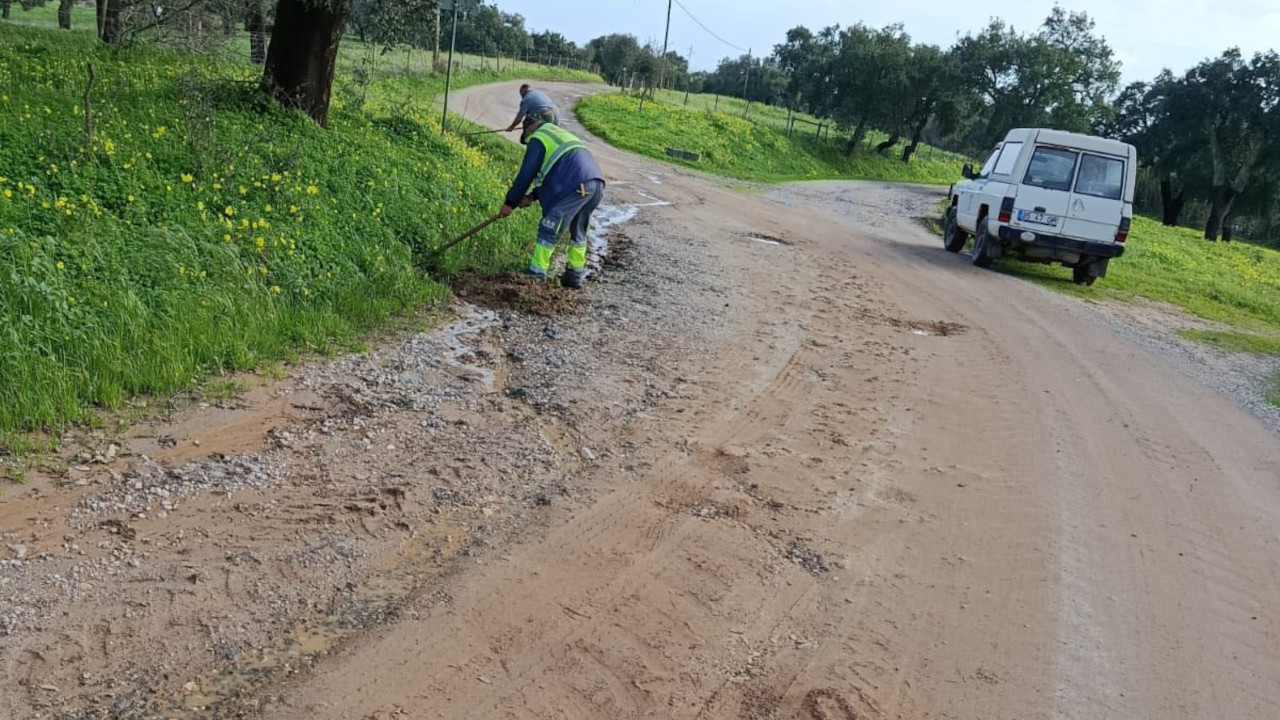 União das Freguesias realiza trabalhos de limpeza no território