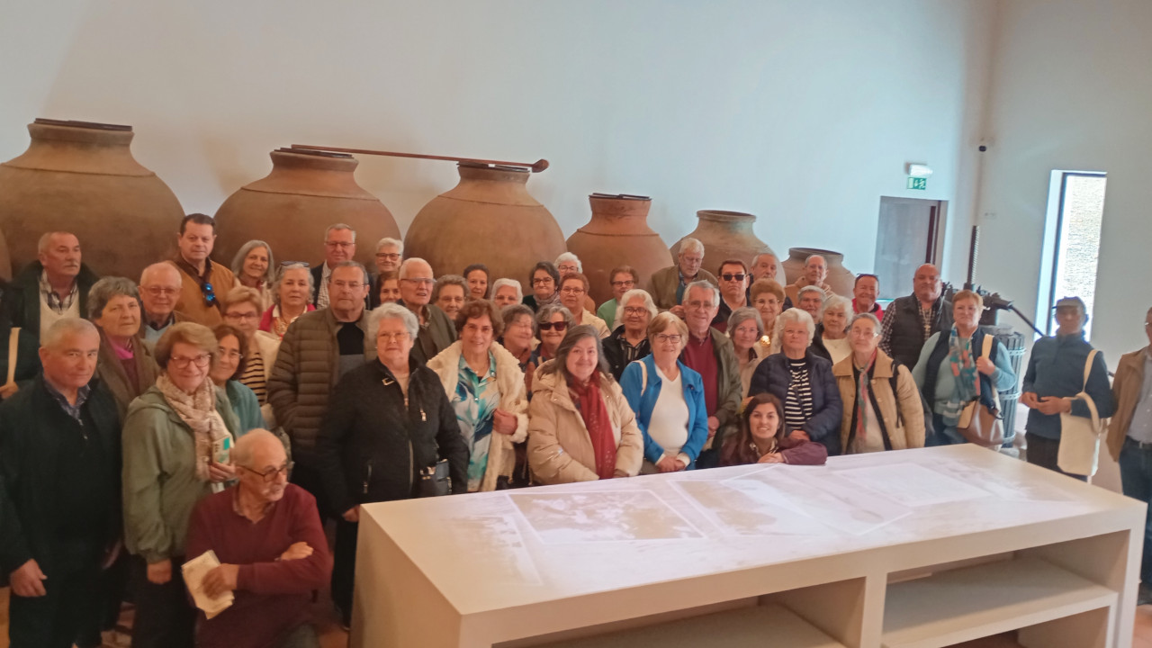 Passeio Sénior à Vidigueira